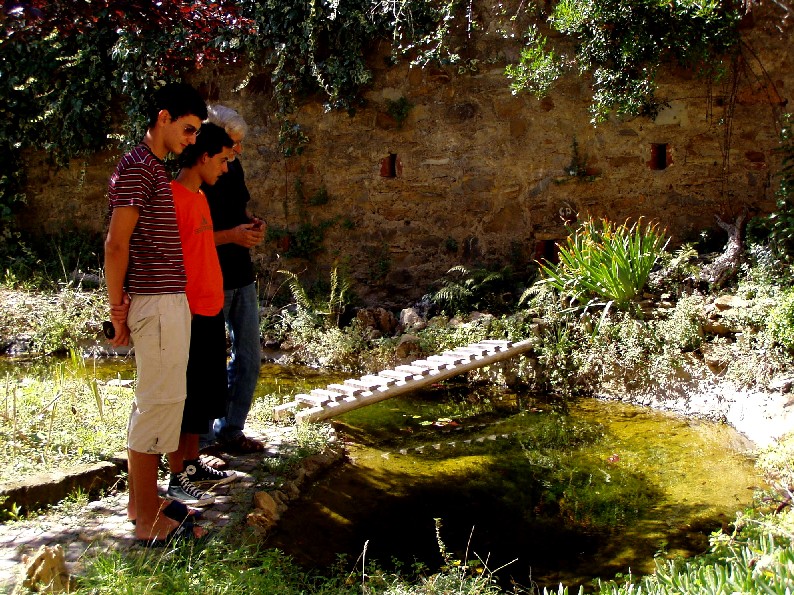 Il Laghetto del Centro di Entomologia - Piombino (LI)